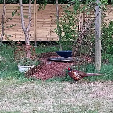 Experience The Charming Near Ruslands Bakker Dronningmølle